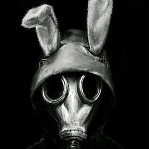 Meet your Posher, Dave